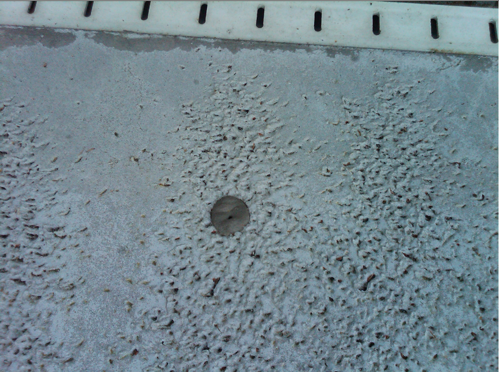 How To Patch A Hole With Concrete