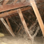 attic pest control http://pestcemetery.com/