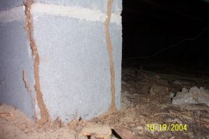 termites using pier to tunnel up http://pestcemetery.com/