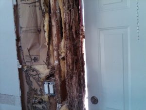 revealed hidden termite damage http://pestcemetery.com/