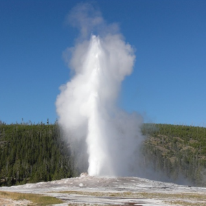 old faithful http://pestcemetery.com/