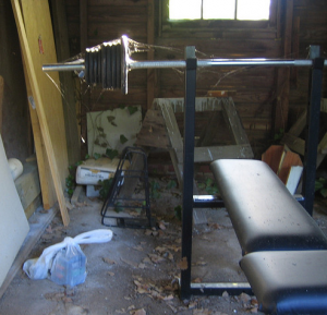 neglected weight bench http://pestcemetery.com/