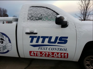 Titus pest control http:pestcemetery.com/