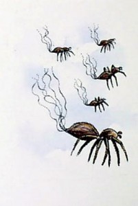 ballooning-spiders pestcemetery.com