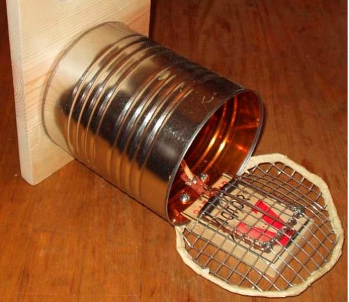 Best & Easy Mouse Trap - DIY Mouse Trap - Rat Trap Homemade 