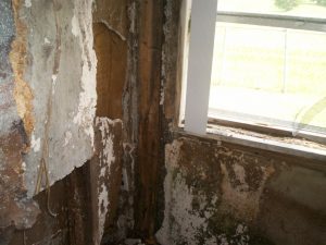 termite damage repo home pestcemetery.com