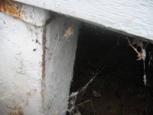 No shield on the skirting and a bent pier shield allowed termite access