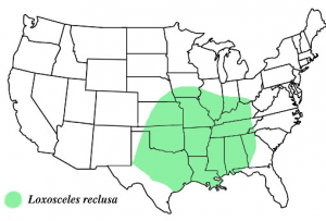 brown recluse map pestcemetery.com