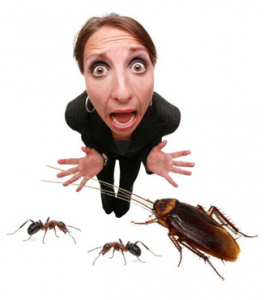 Image result for cockroach on a lady