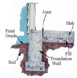 The 5 Year Termite Trap | Pest Cemetery