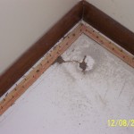 Why guess any longer where termites will pop up--our work provides unsuspecting entry that's easy to spot.