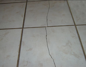 cracked tile from termite work https://pestcemetery.com/