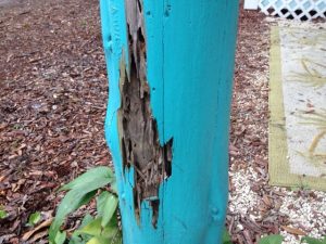 This porch post had THICK layers of paint slapped on it to try and hide the termites beneath.