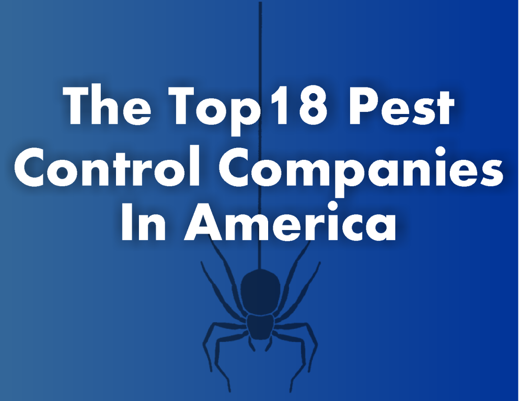 largest pest control companies uk