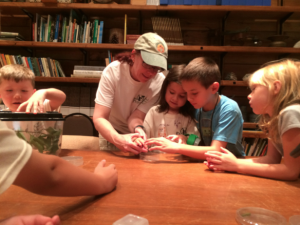 Teaching kids about insects at ONP Summer Camp