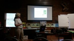 Last August's Lecture on Diptera (Flies)